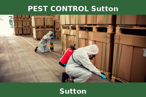 PEST CONTROL Sutton